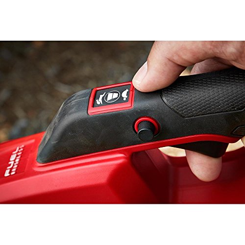 Lithium-Ion Brushless Cordless Handheld Hair Dryer