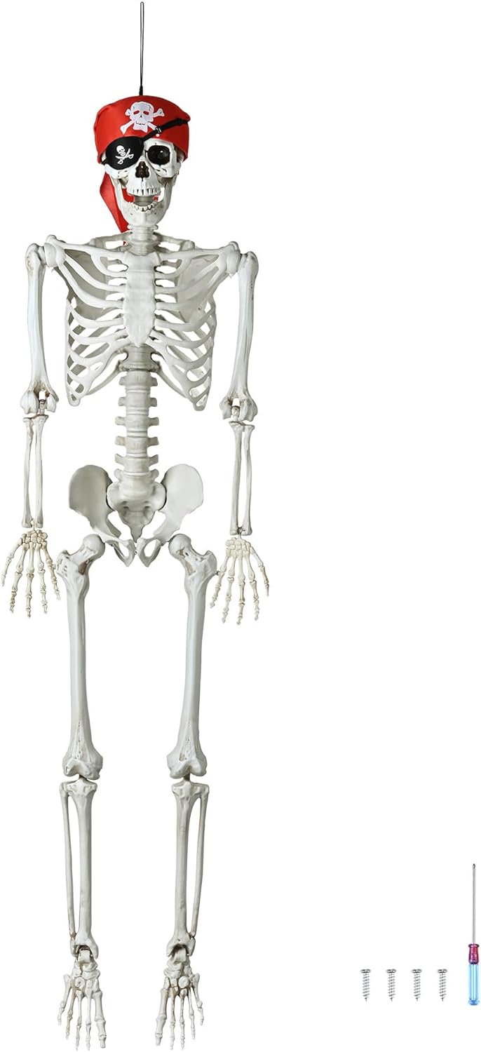 Halloween decoration skull skull